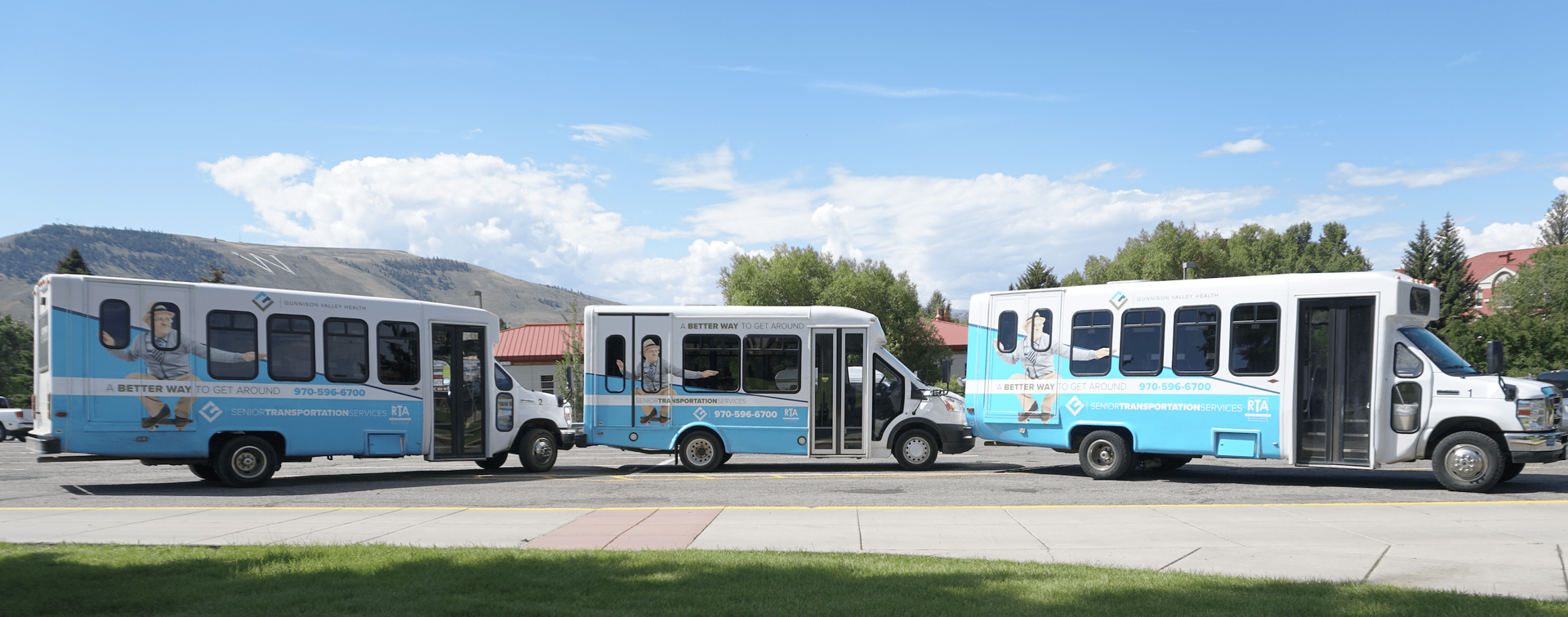Three light blue and white buses parked side by side under a bright blue sky and green grass.