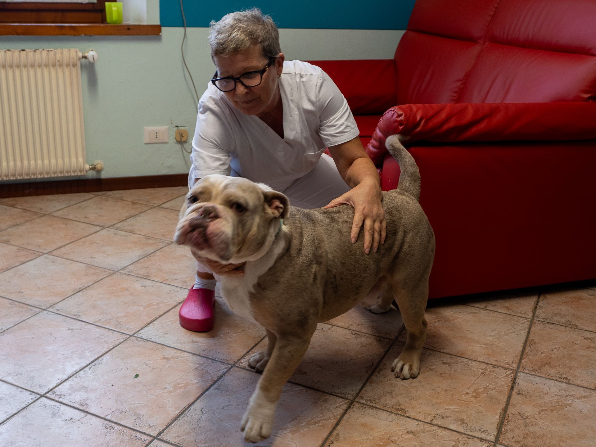 LA VILLA ROSA CERVIGNANO DEL FRIULI UDINE