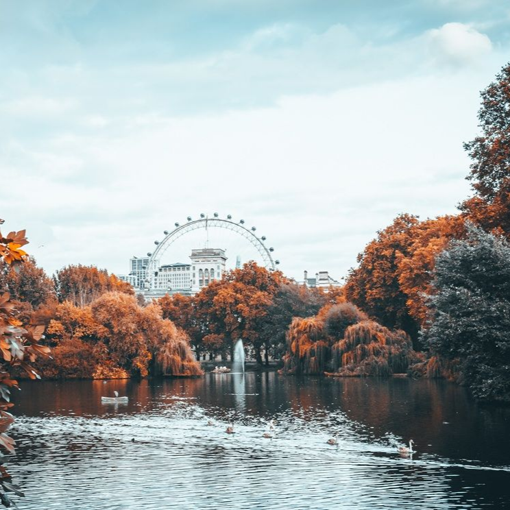 Pond in a park with autumn foliage, London Eye in the background under a cloudy sky.