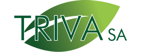 Une feuille verte avec le mot triva sa dessus