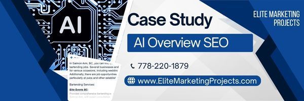 Elite Marketing Projects digital marketing agency showcasing successful AI Overview SEO for a client