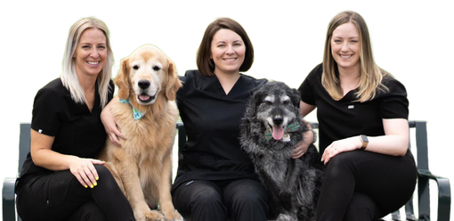 The Neighborhood Vets owners and DVMs with their dogs.