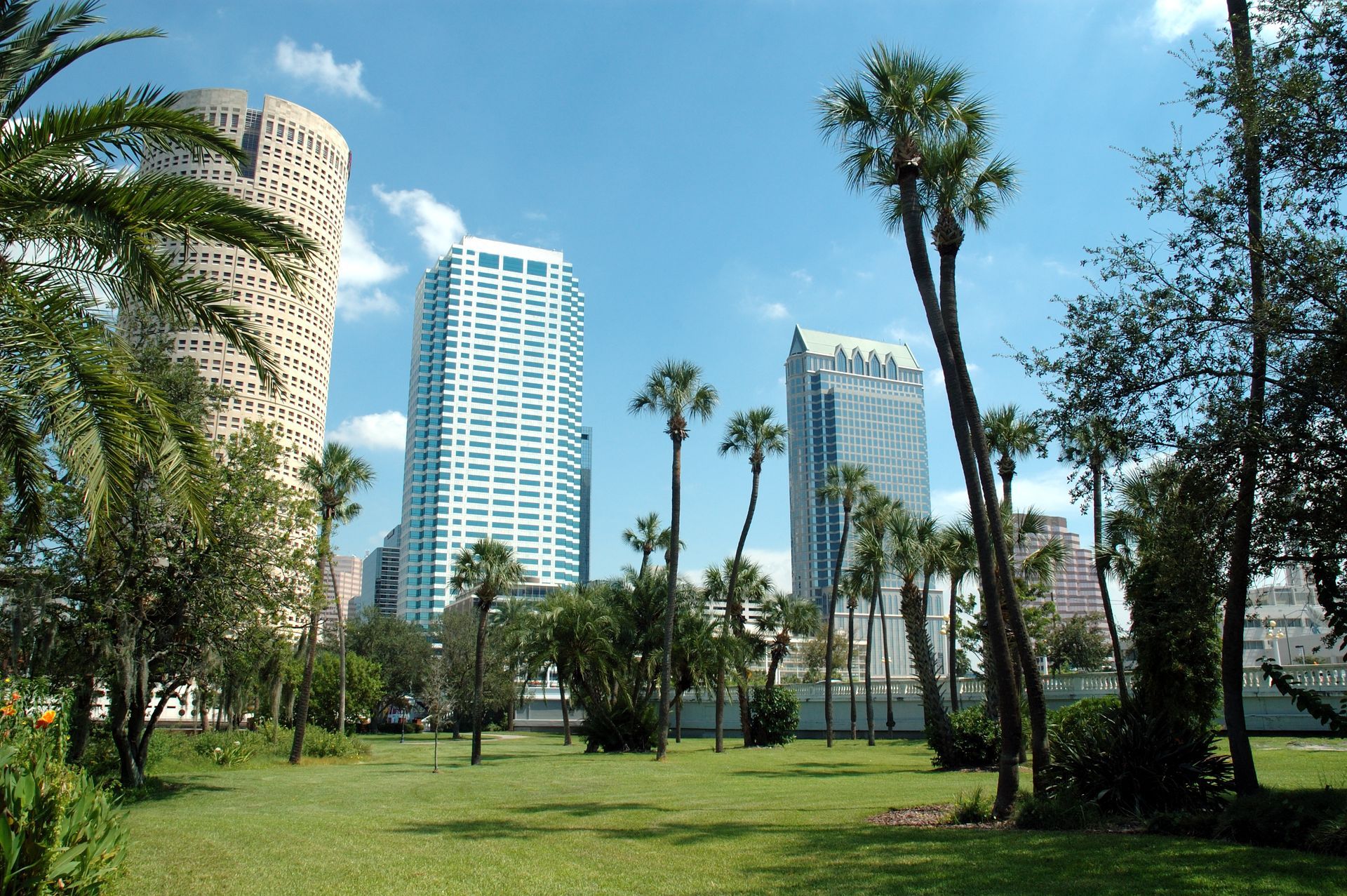 Downtown Tampa | Tampa, FL | Demetri Jim Venetos
