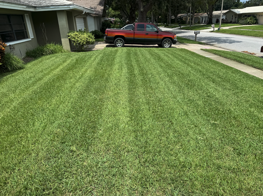 Lawn mowing experts in Dunedin and Clearwater