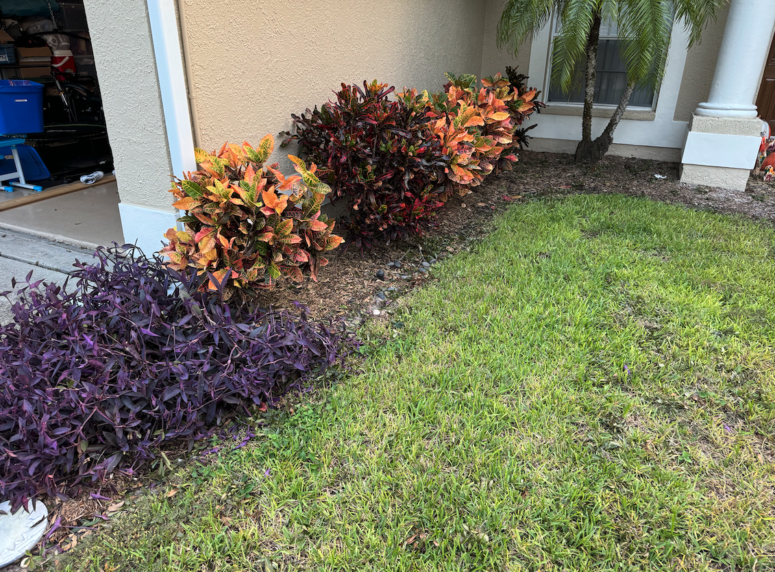 Professional mulching services in Dunedin, FL