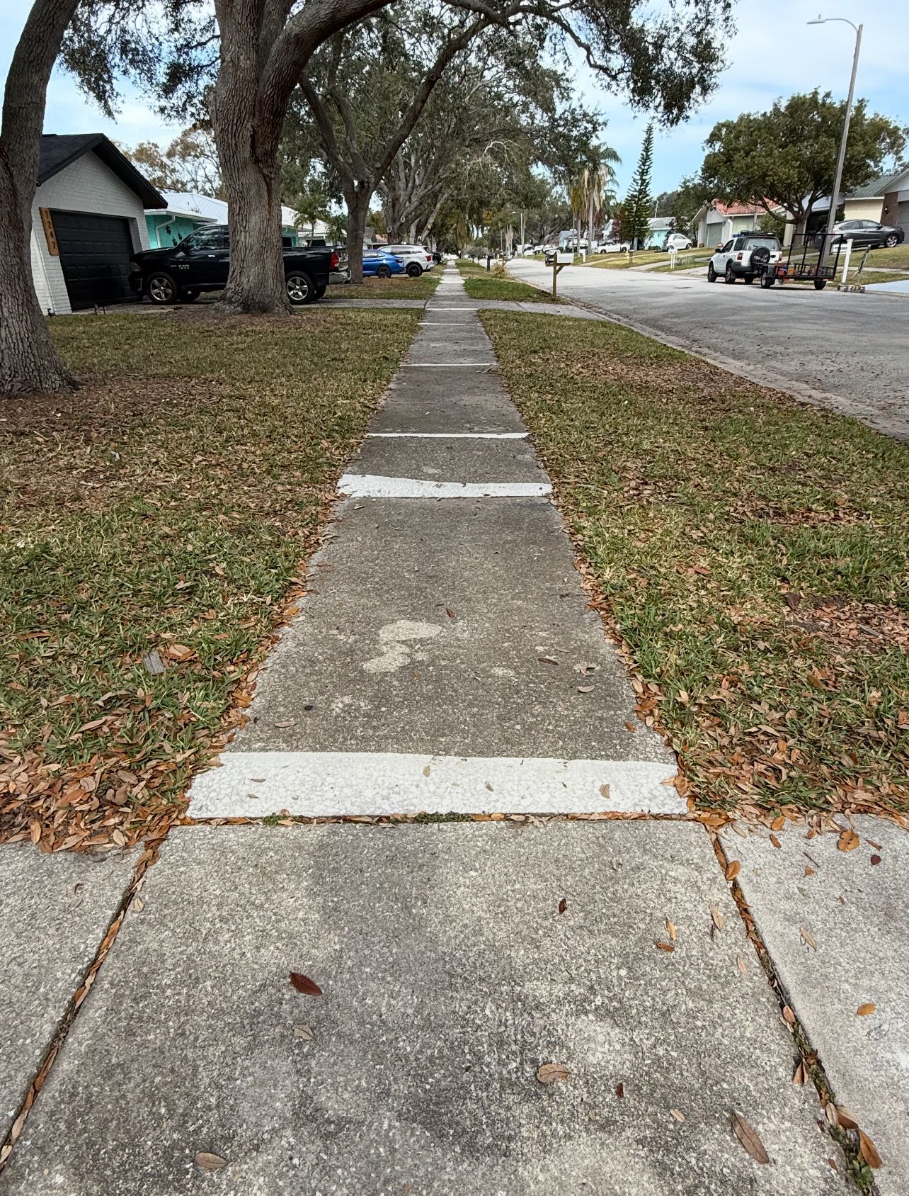 Pressure washing st pete