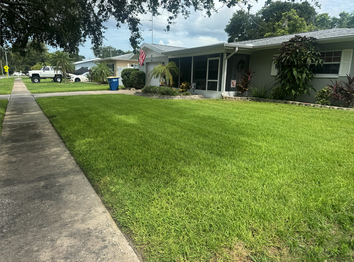 Clearwater FL lawn care and mowing services