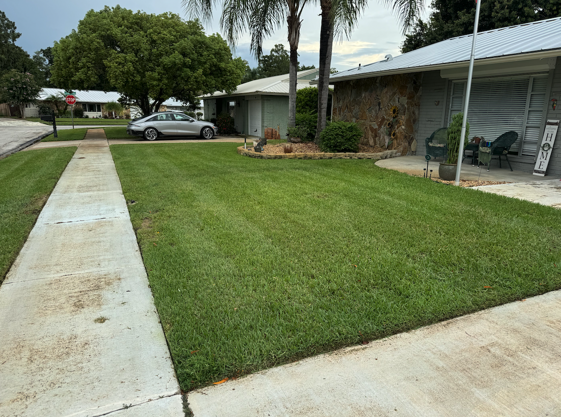 Lawn mowing experts in Dunedin and Clearwater