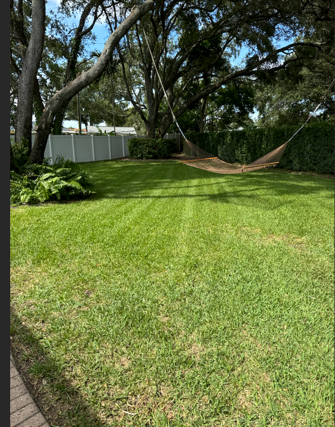 Clearwater FL lawn care and mowing services