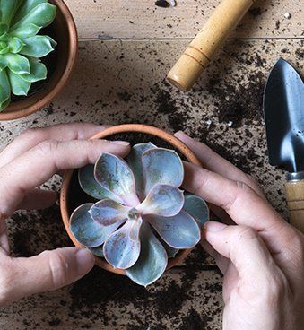 Home Services Clearwater