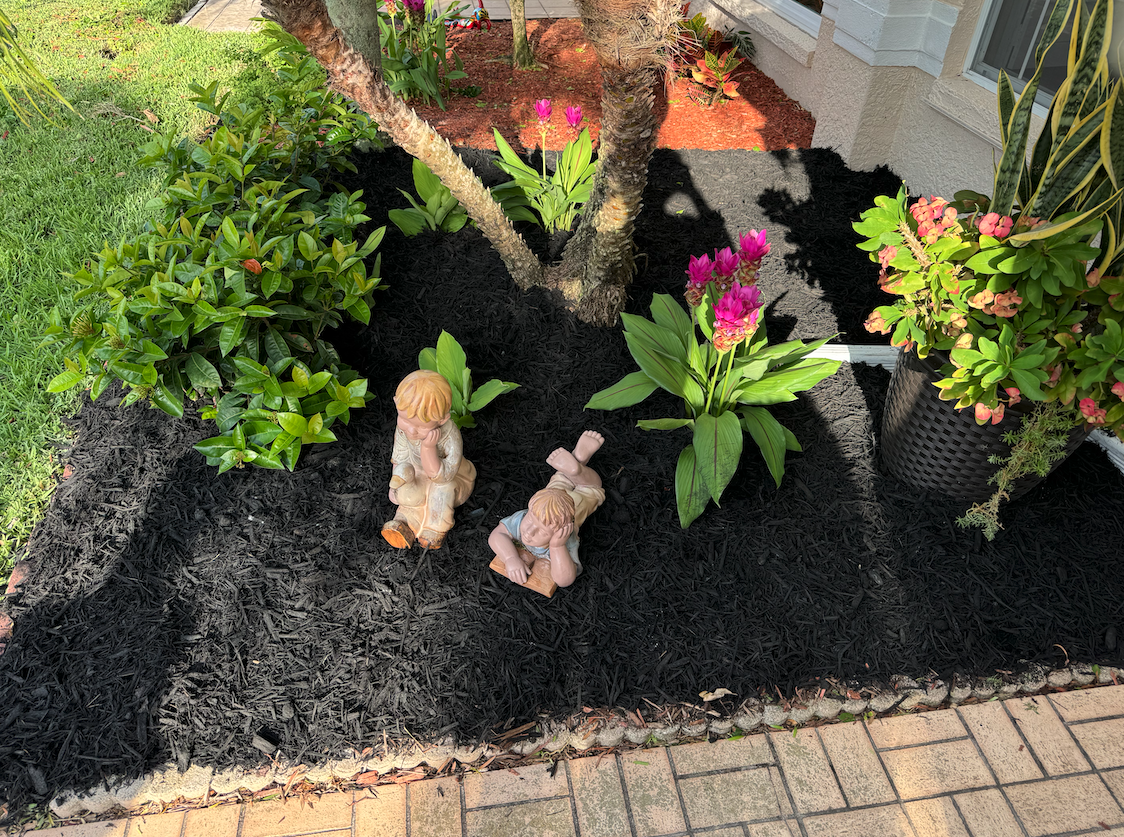 Premium mulch application in Dunedin and Clearwater, Fl