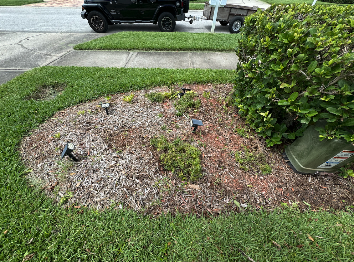 Mulching clearwater florida