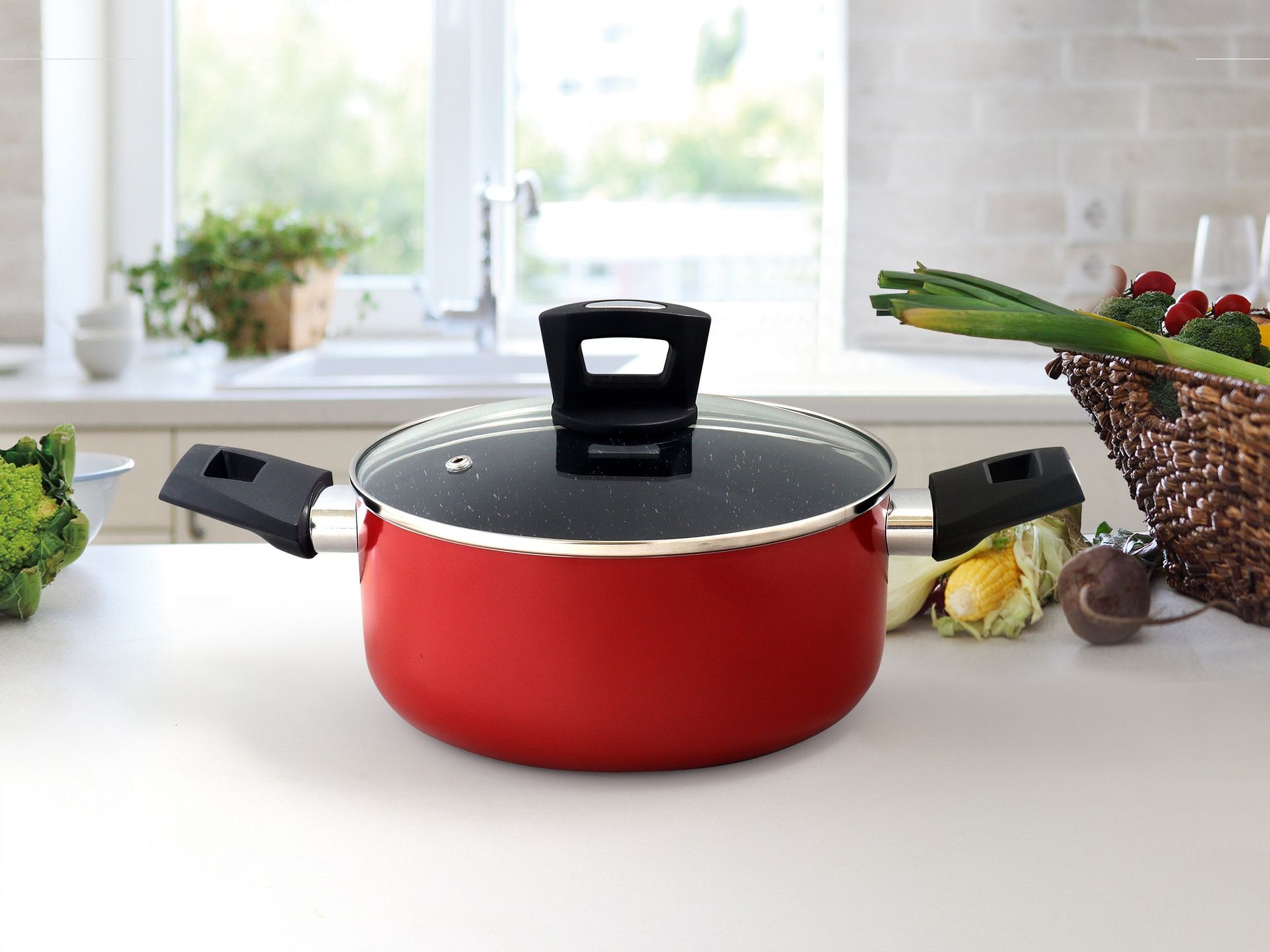 里奇防滑湯鍋附玻璃蓋