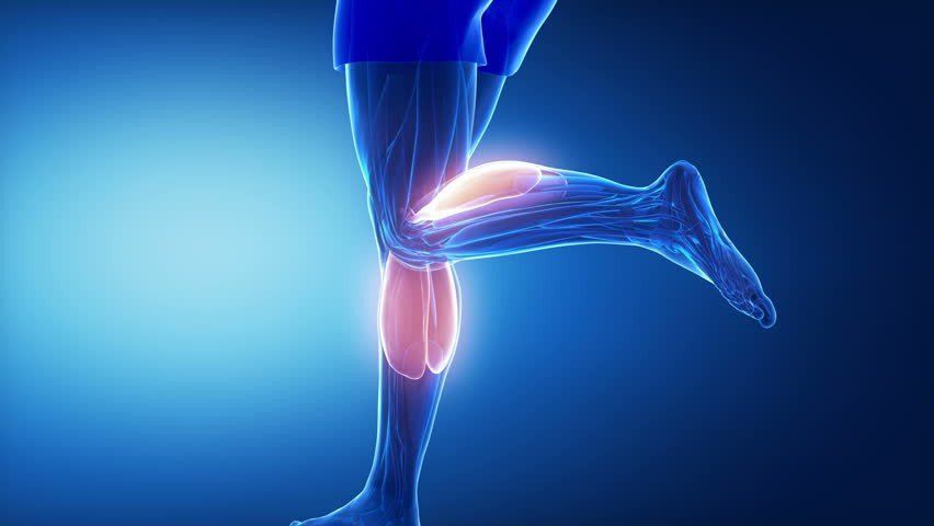 What You Should Know about Calf Muscle Tear - Perfect Balance