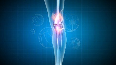 Physical Therapist's Guide to Discoid Meniscus