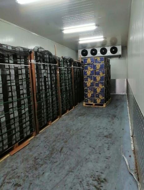 mantenimiento de neveras industriales chiller vitrinas de refrigeración