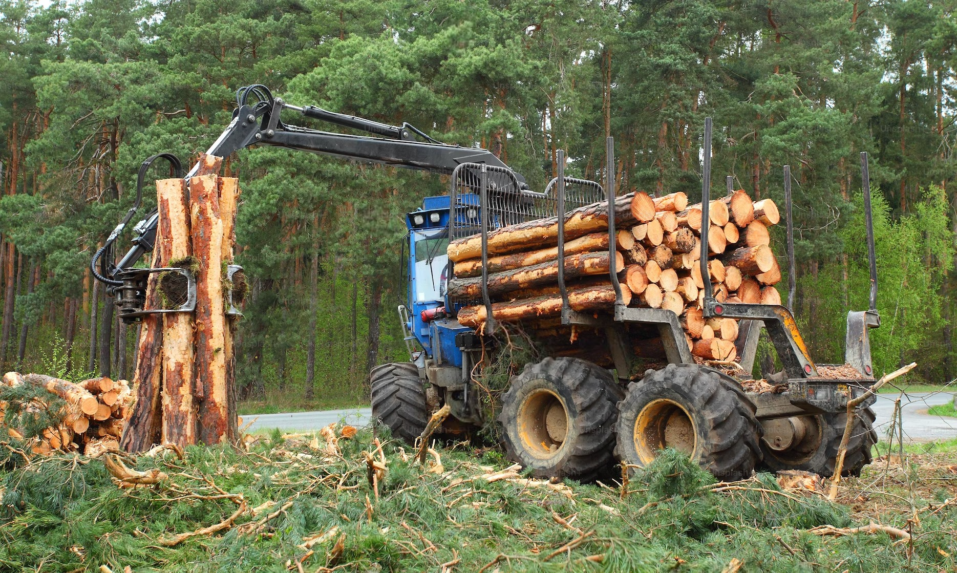 a tractor is carrying logs in a forest