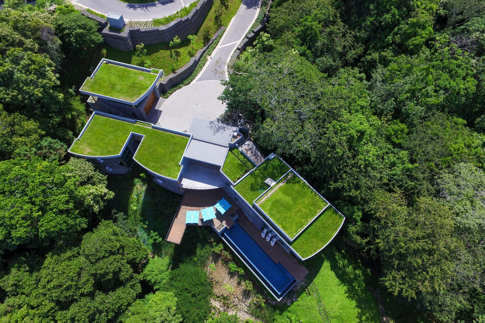 Aerial view of a modern home with green roofs and a pool surrounded by lush trees.