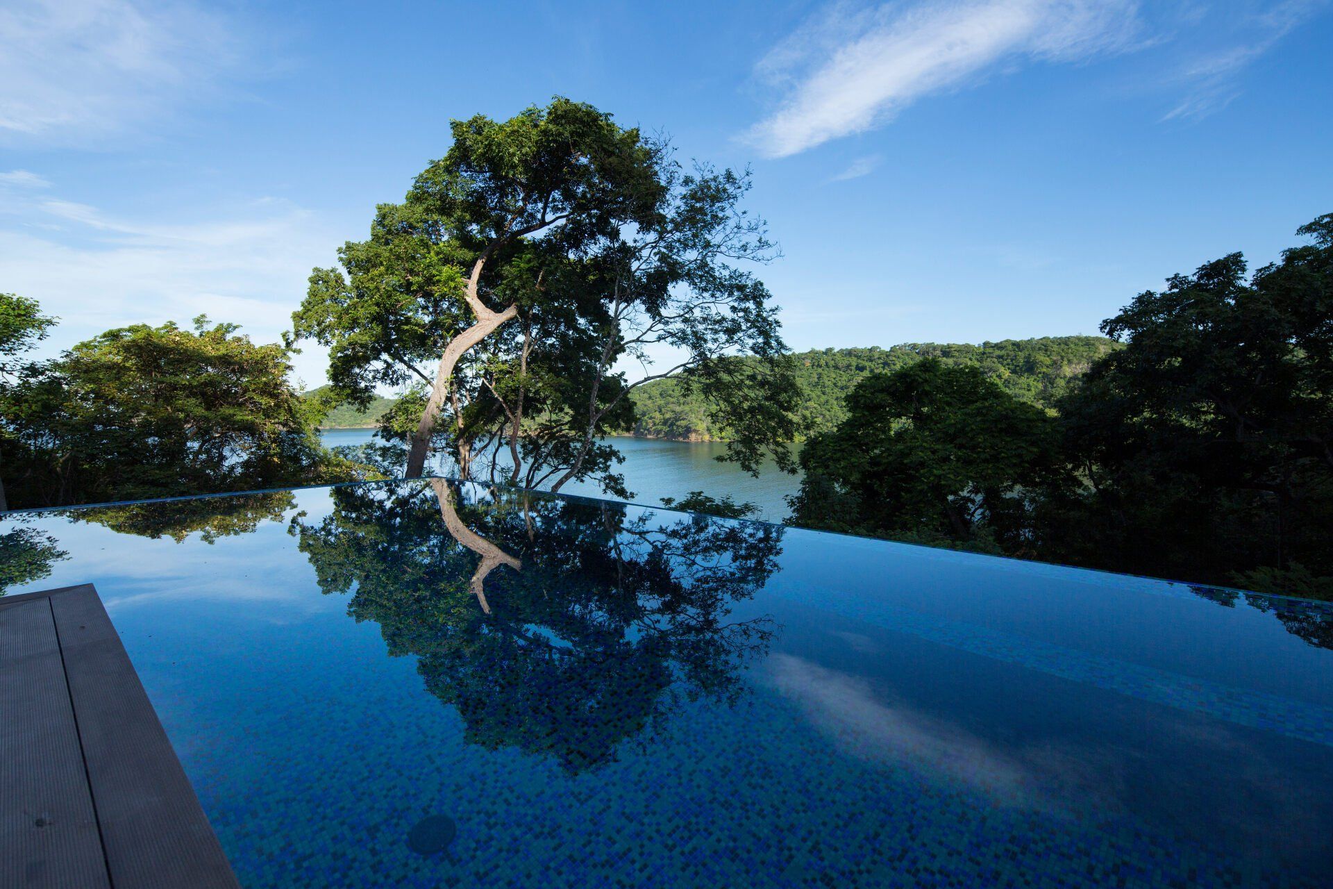 a tree is reflected in the water of an infinity pool