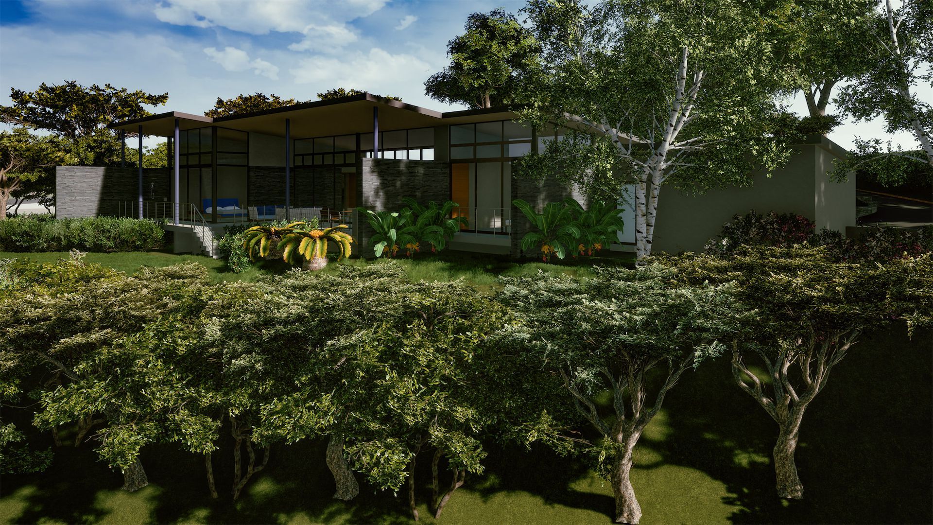 a house with a lot of trees in front of it