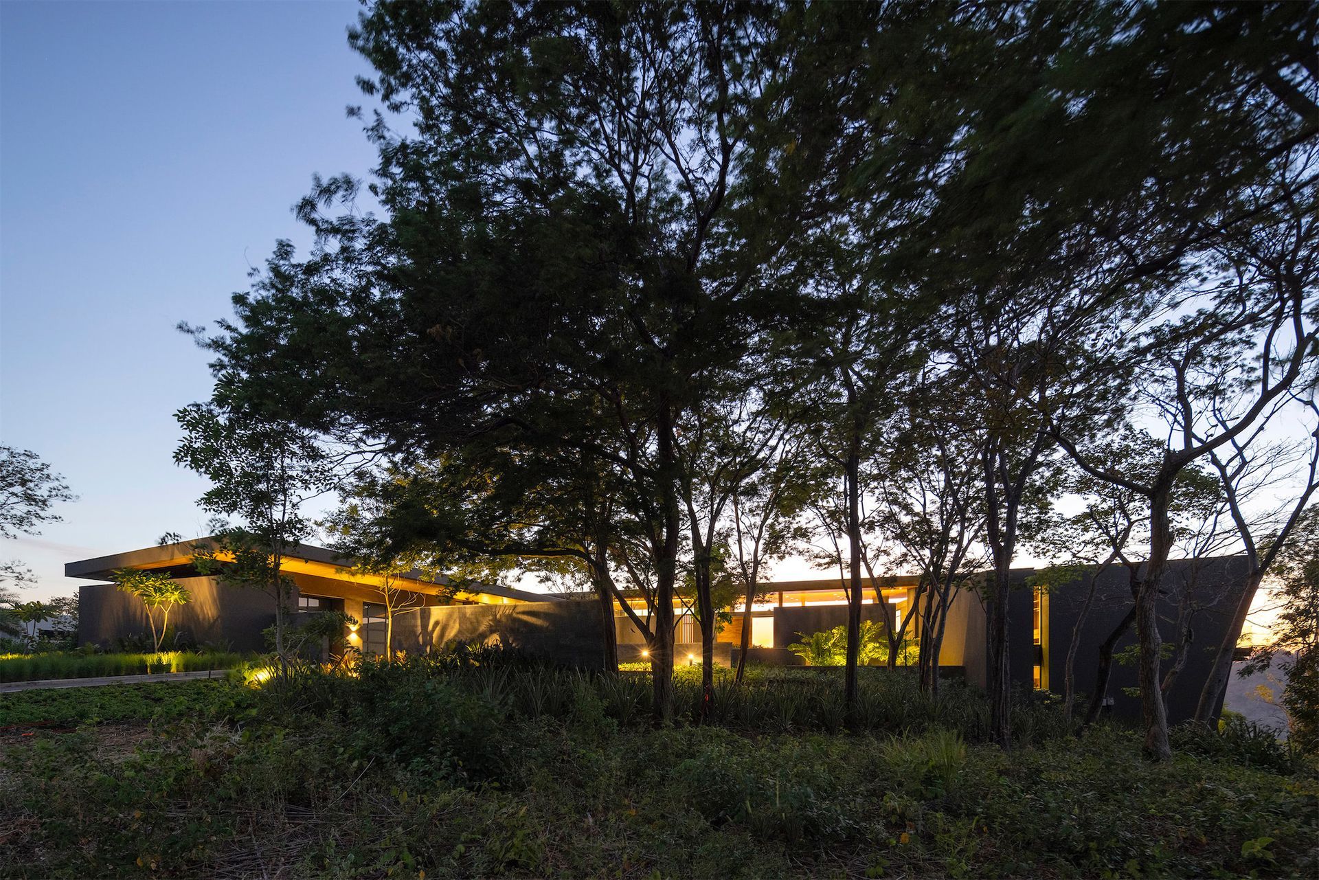 a house with a lot of trees in front of it