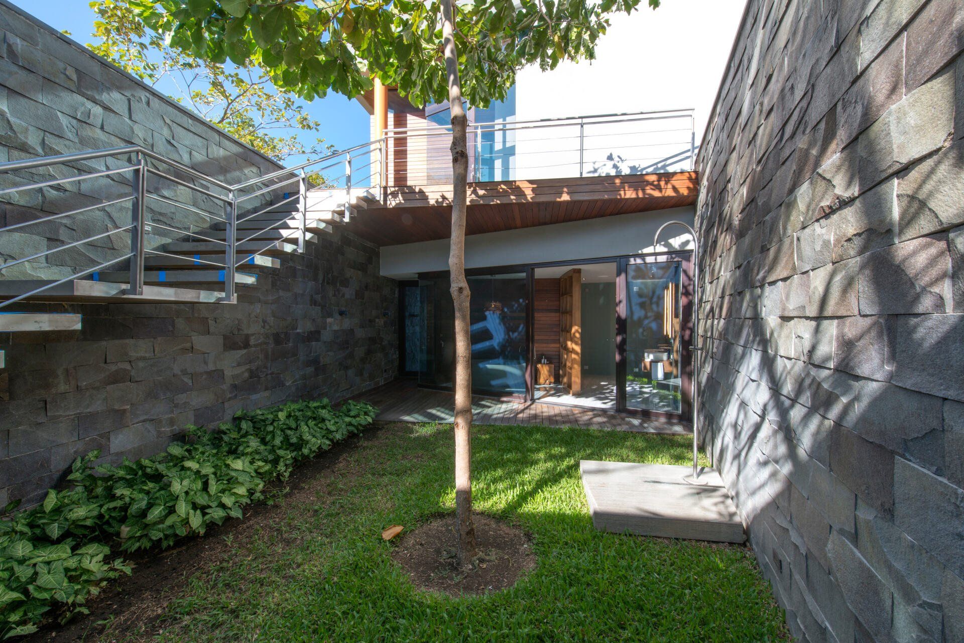 a tree is in the middle of a lush green yard in front of a house .