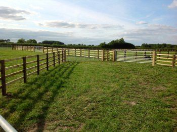 lawn fencing