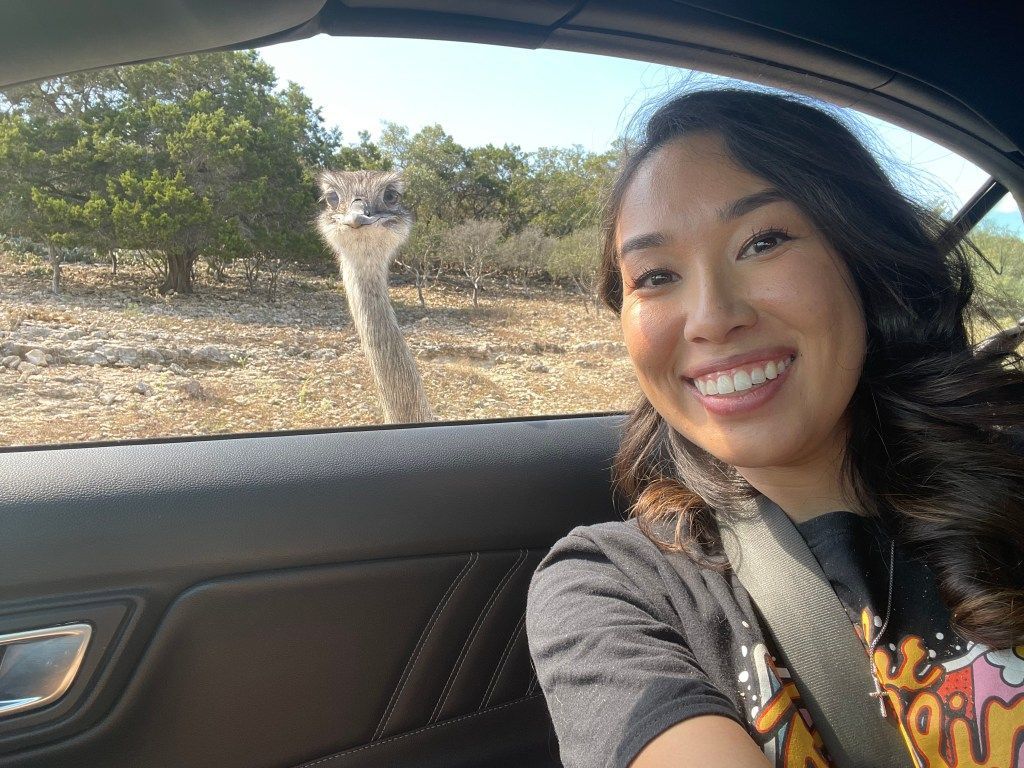 A woman is sitting in a car looking out the window at an ostrich.