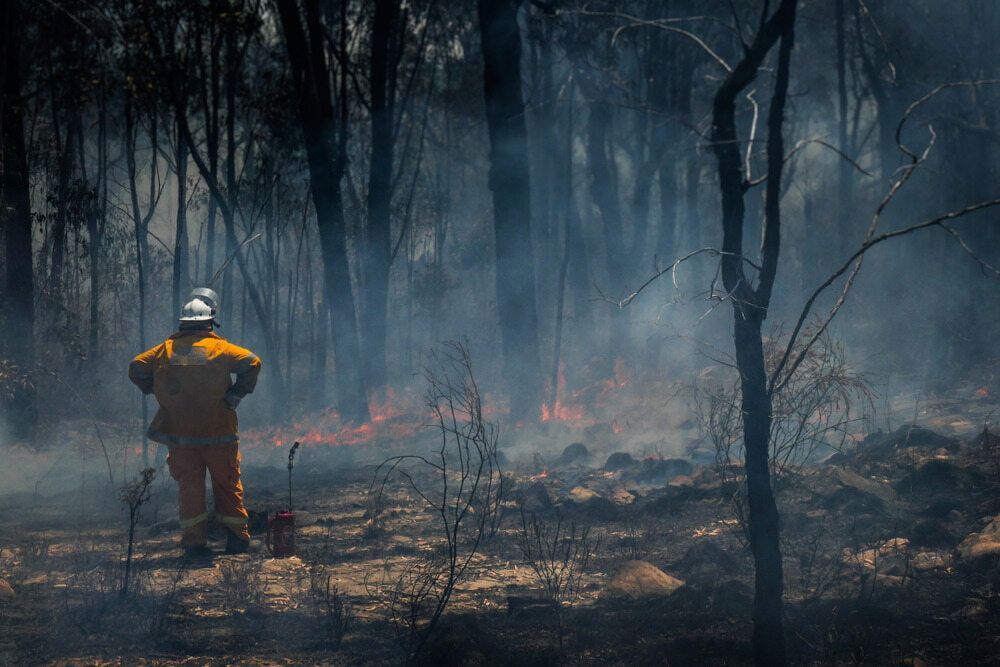 A Firefighter Is Standing In The Middle Of A Forest Looking At A Fire — S & K Raw Materials & Earthmoving in Atherton, QLD
