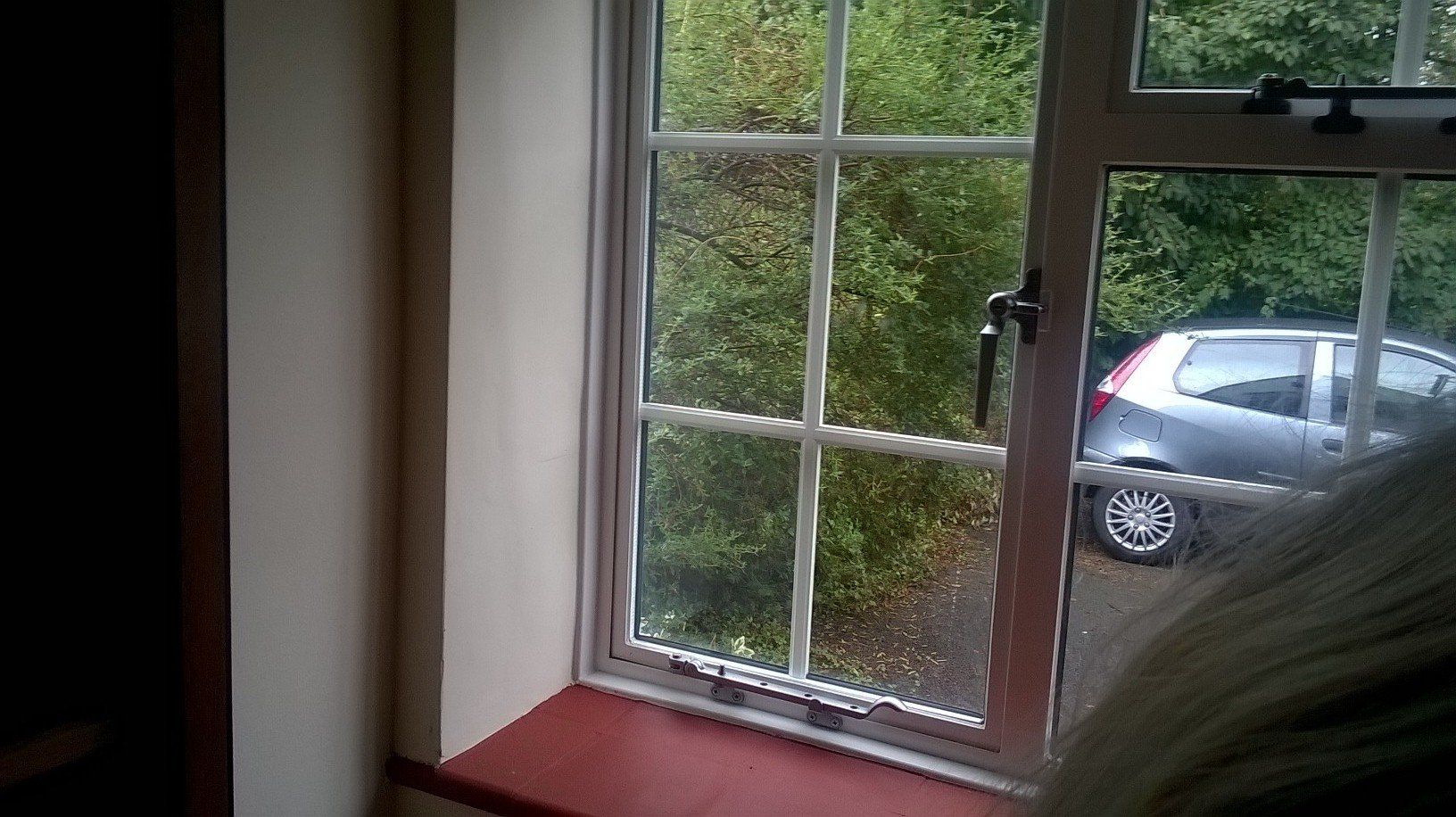 Window pane with glass