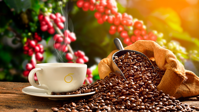 Chemex, diseño que logra el mejor café