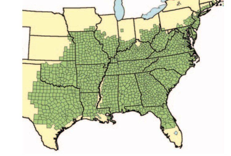 Map of United States marked with green where Post Oak grows