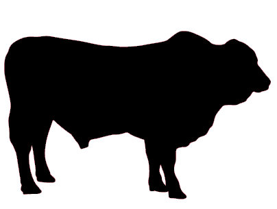 Beef icon; Silhouette of a large bull cow standing 