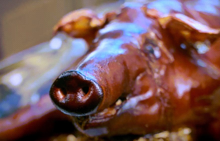 Closeup image of a whole smoked hog