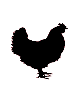 Chicken Rub Icon, Black silhouette of a chicken standing on a white background.