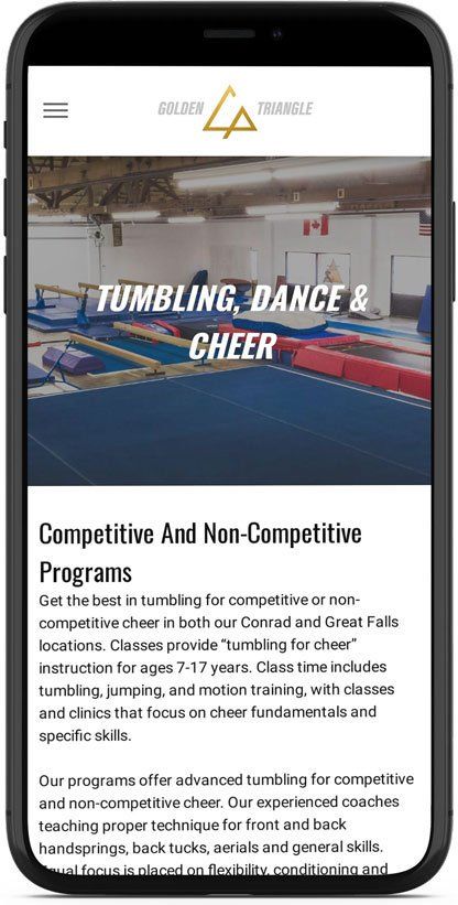 Golden Triangle Gym Website Design Mobile Mockup