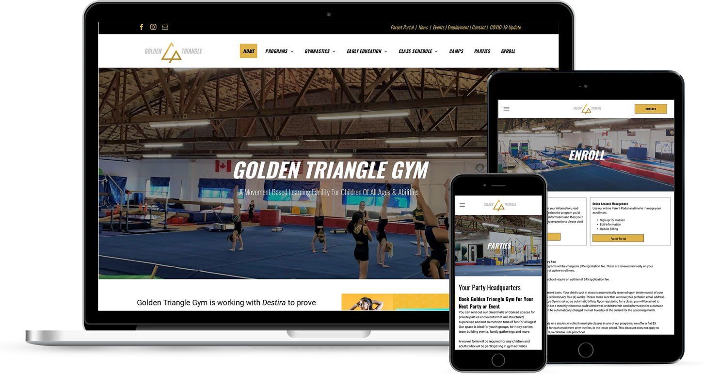 Golden Triangle Gym Website Design Mockup