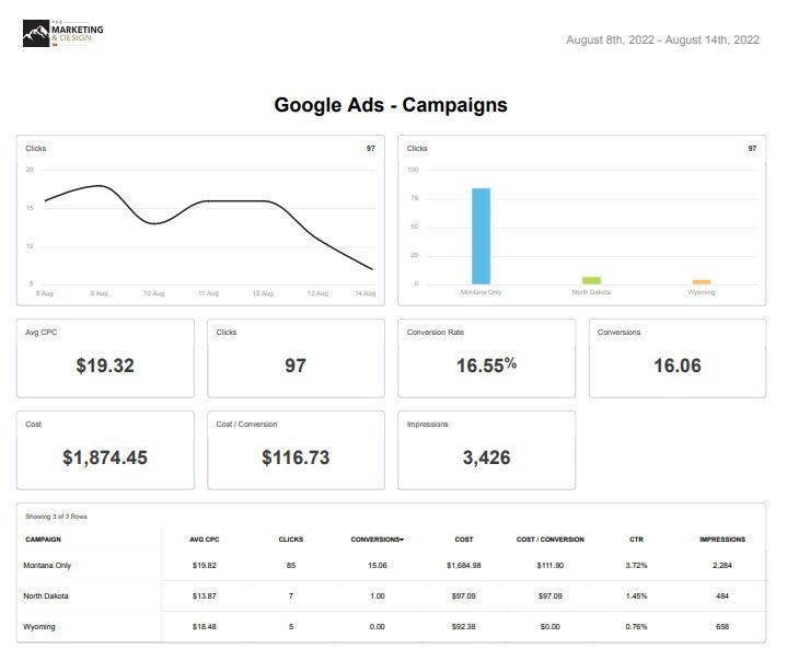 Google Ads Reporting - A Screenshot of a google ads report that includes various stats and campaign metrics
