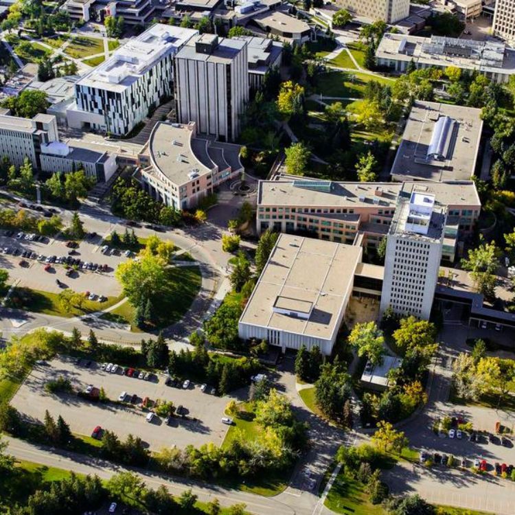 An aerial view of a city with lots of buildings and trees