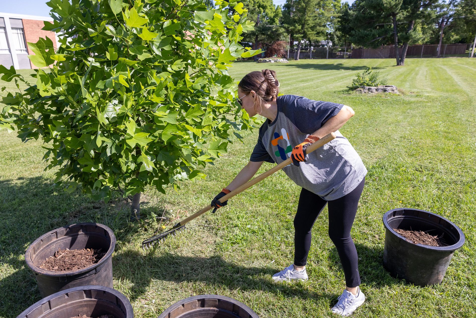 A woman is raking a tree in a yard.