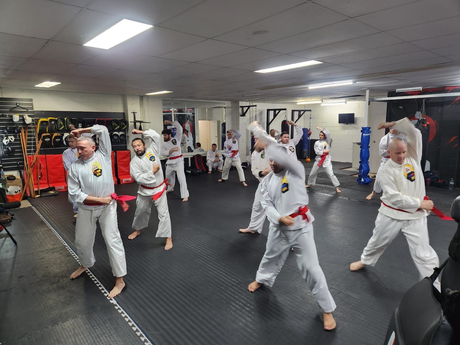 A group of people are practicing martial arts in a gym.