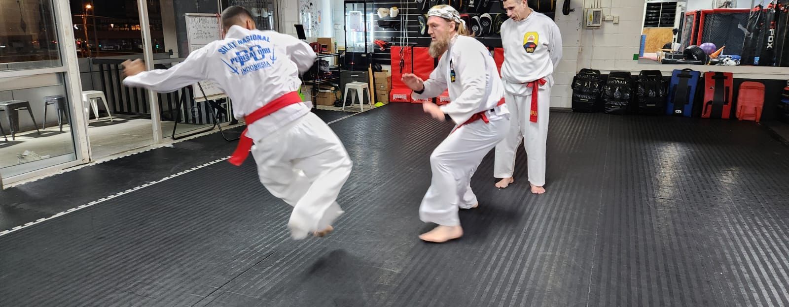A group of people are practicing martial arts in a gym.