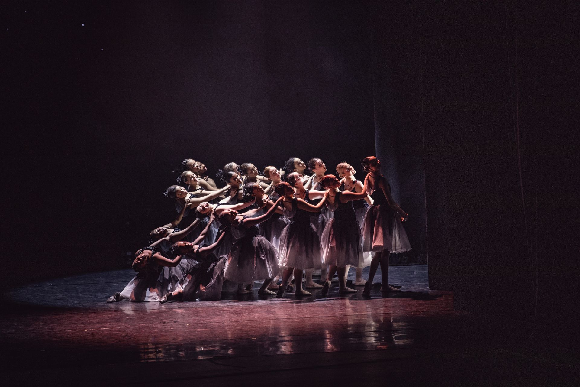 Dancer spotlight 2025 dance showcase