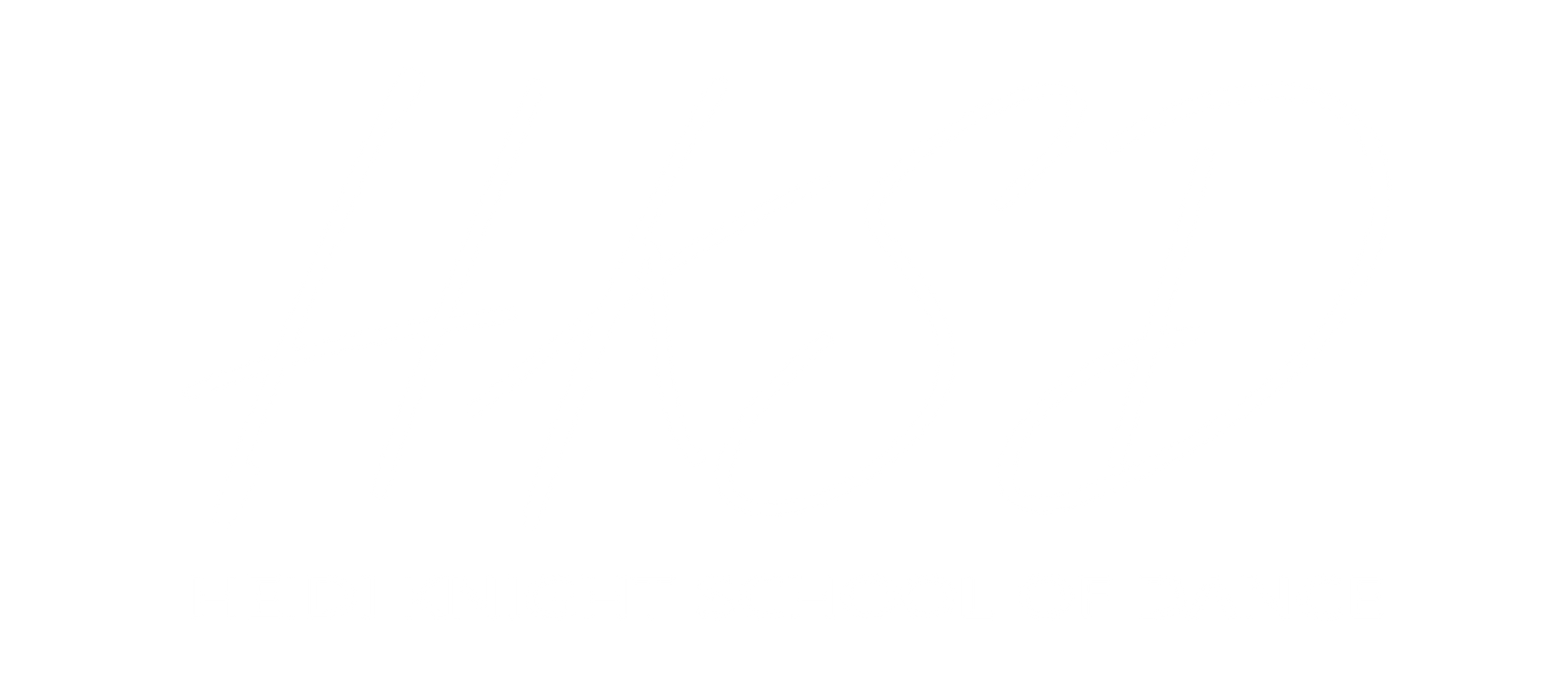 Heidi Knight School Of Dance logo