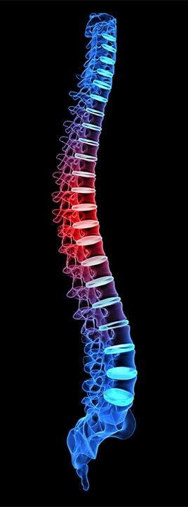 ALPHABIOTICO - Lesiones