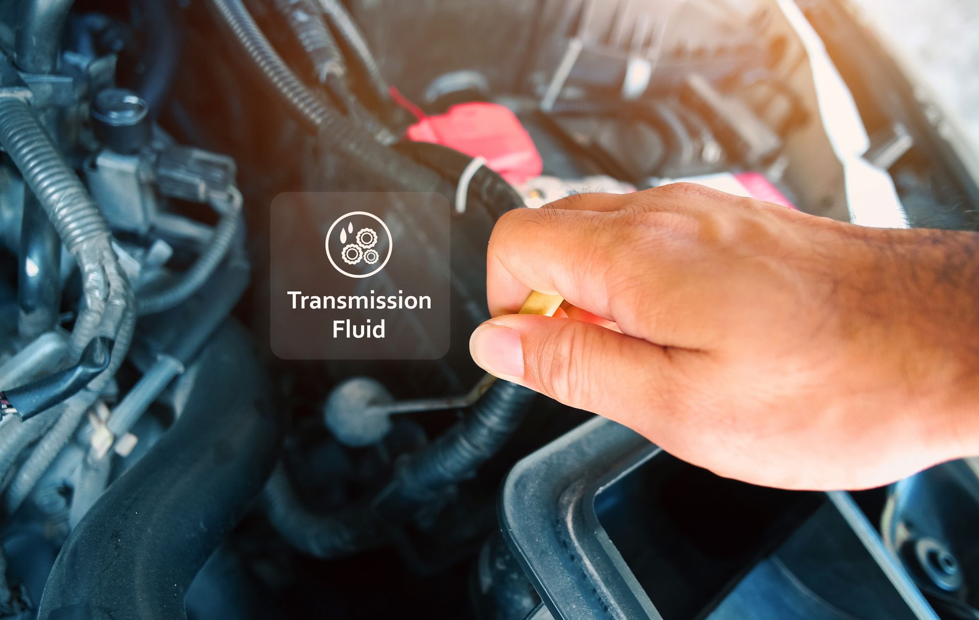 The Truth About Lifetime Transmission Fluid | Eagle Transmission & Auto Repair