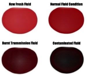 Types of Fluid Chart | Eagle Transmission & Auto Repair