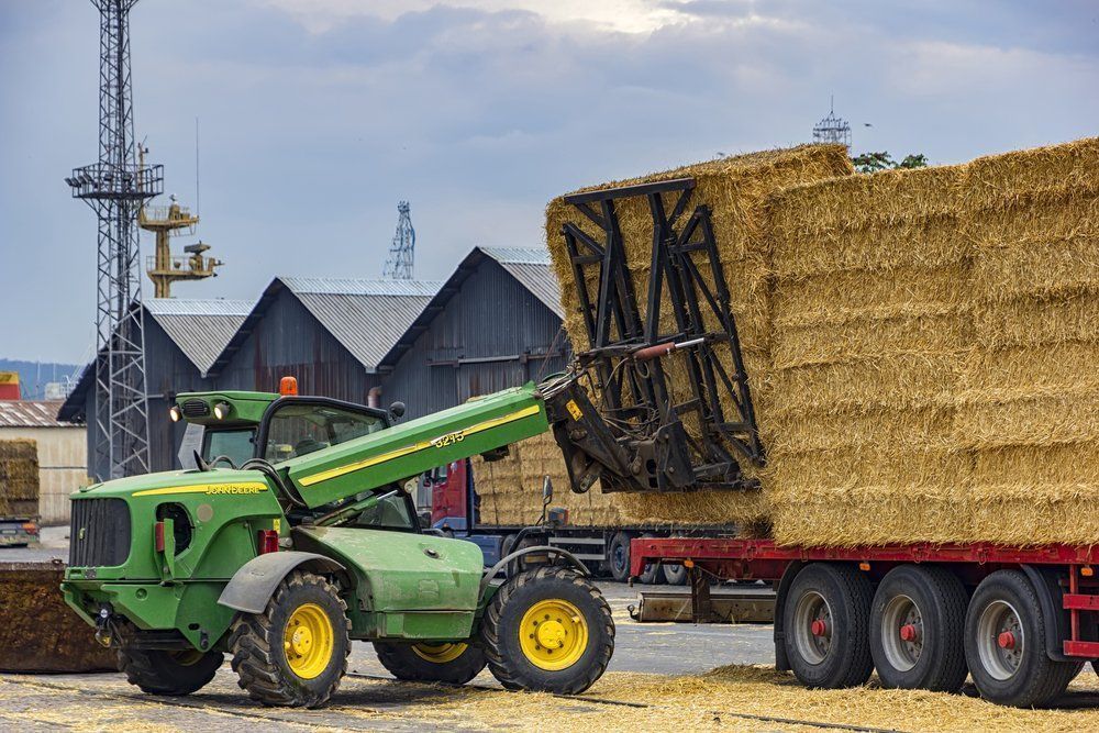 A Green Tractor is Loading Hay Onto a Trailer — Wingham Farm Machinery in Wingham, NSW