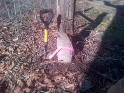 Mobile Home Placement Surveys — Planted Stone In A Fence Line In Johnson City, TN