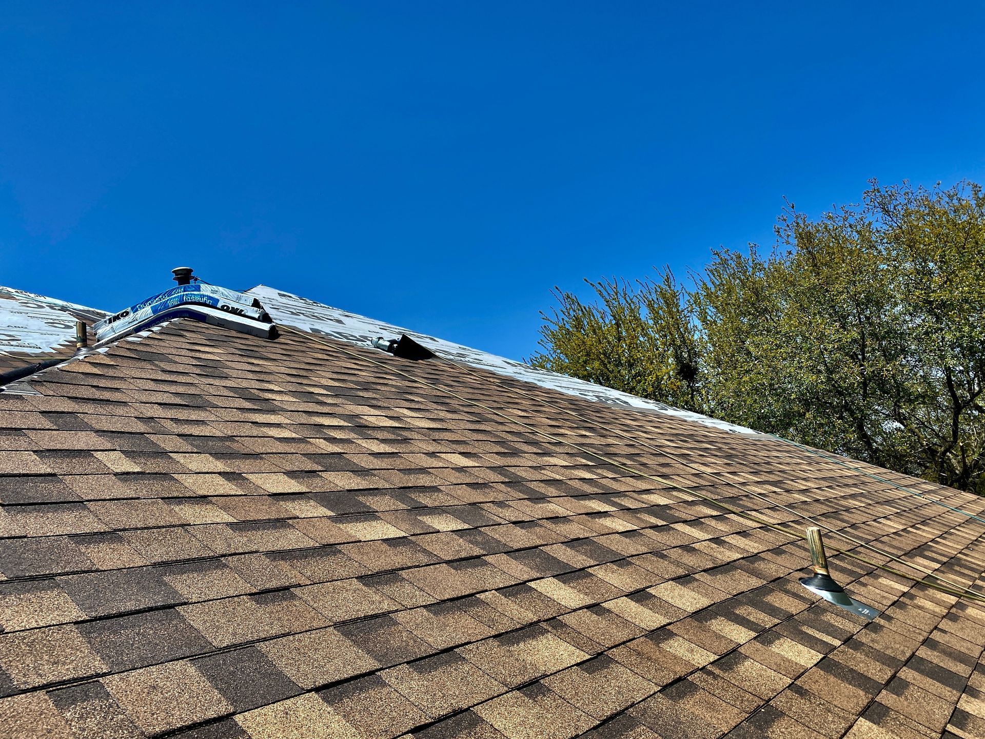 Shingled roof with a small skylight under a bright blue sky, with trees at the edge.